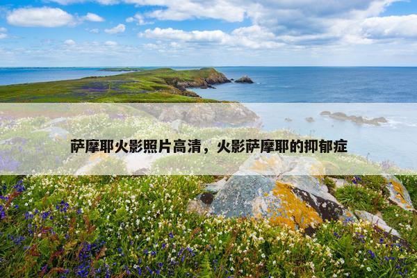 萨摩耶火影照片高清，火影萨摩耶的抑郁症