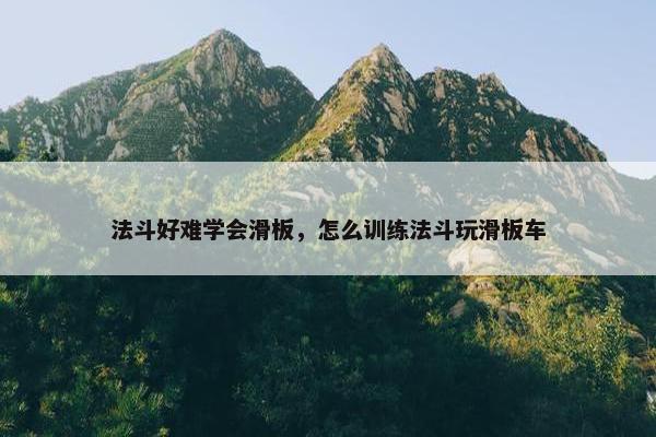 法斗好难学会滑板，怎么训练法斗玩滑板车