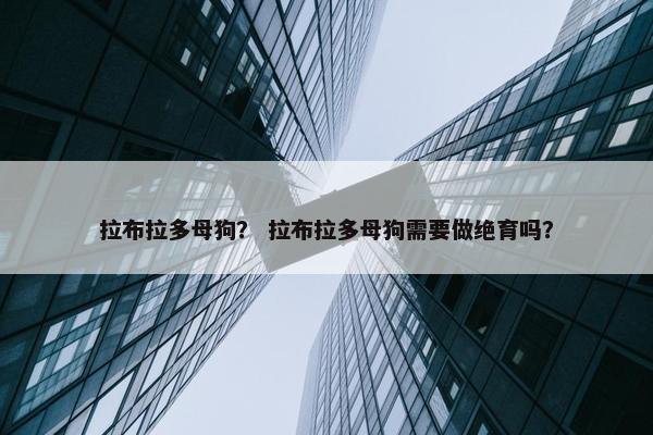 拉布拉多母狗？ 拉布拉多母狗需要做绝育吗？