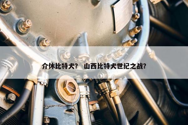 介休比特犬？ 山西比特犬世纪之战？