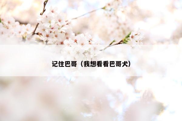 记住巴哥（我想看看巴哥犬）