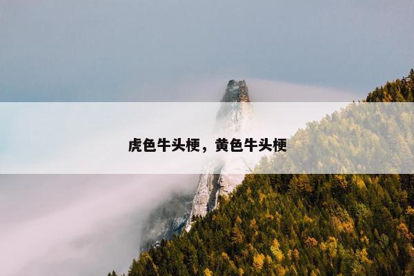 虎色牛头梗，黄色牛头梗