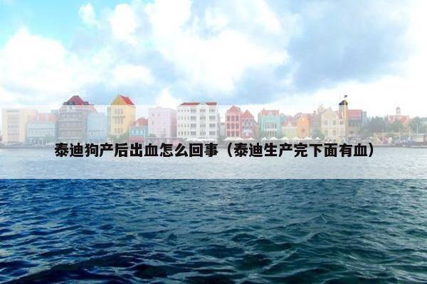 泰迪狗产后出血怎么回事（泰迪生产完下面有血）