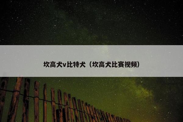 坎高犬v比特犬（坎高犬比赛视频）
