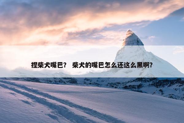 捏柴犬嘴巴？ 柴犬的嘴巴怎么还这么黑啊？