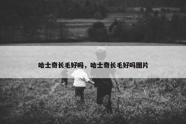 哈士奇长毛好吗，哈士奇长毛好吗图片