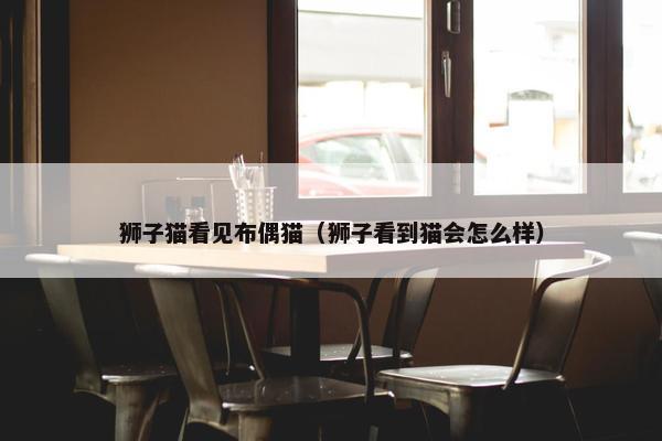 狮子猫看见布偶猫（狮子看到猫会怎么样）