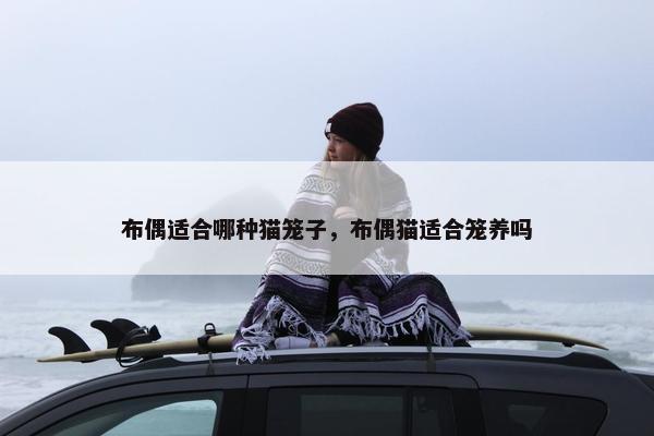 布偶适合哪种猫笼子，布偶猫适合笼养吗