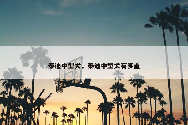 泰迪中型犬，泰迪中型犬有多重