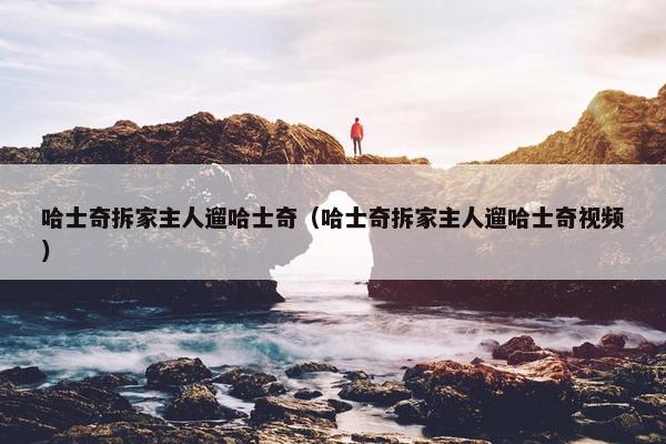 哈士奇拆家主人遛哈士奇（哈士奇拆家主人遛哈士奇视频）