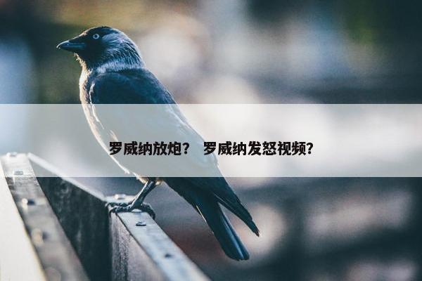 罗威纳放炮？ 罗威纳发怒视频？