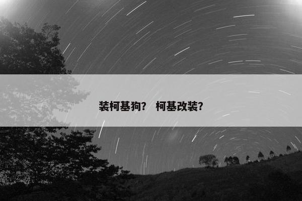 装柯基狗？ 柯基改装？