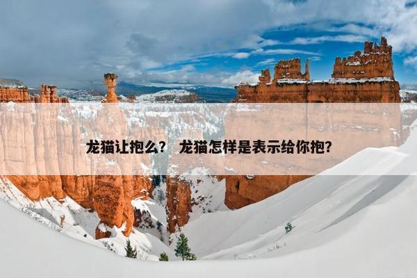 龙猫让抱么？ 龙猫怎样是表示给你抱？