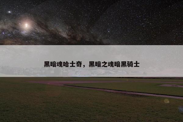 黑暗魂哈士奇，黑暗之魂暗黑骑士