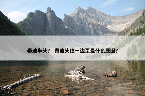泰迪半头？ 泰迪头往一边歪是什么原因？