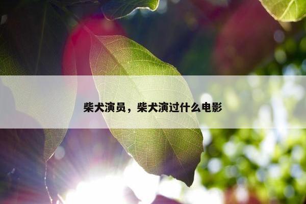 柴犬演员，柴犬演过什么电影
