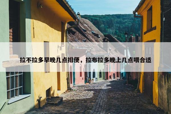 拉不拉多早晚几点排便，拉布拉多晚上几点喂合适