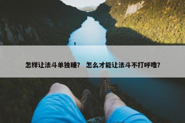 怎样让法斗单独睡？ 怎么才能让法斗不打呼噜？