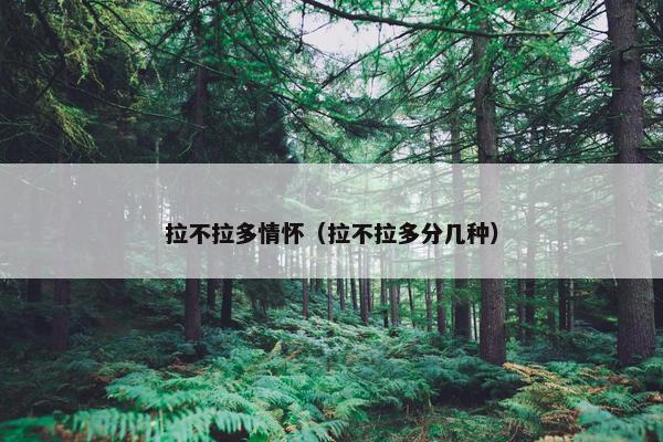 拉不拉多情怀（拉不拉多分几种）