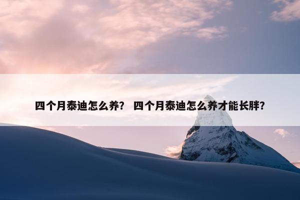 四个月泰迪怎么养？ 四个月泰迪怎么养才能长胖？