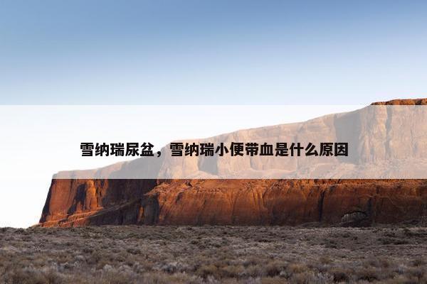 雪纳瑞尿盆，雪纳瑞小便带血是什么原因
