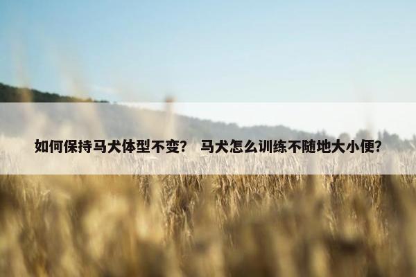 如何保持马犬体型不变？ 马犬怎么训练不随地大小便？