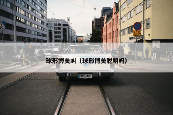 球形博美叫（球形博美聪明吗）