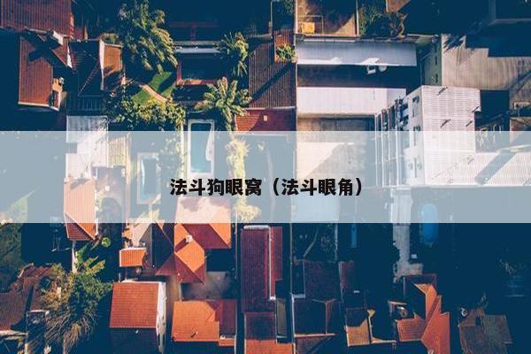 法斗狗眼窝（法斗眼角）