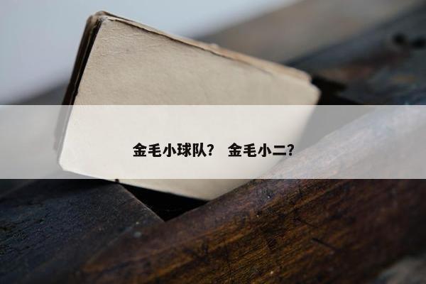 金毛小球队？ 金毛小二？