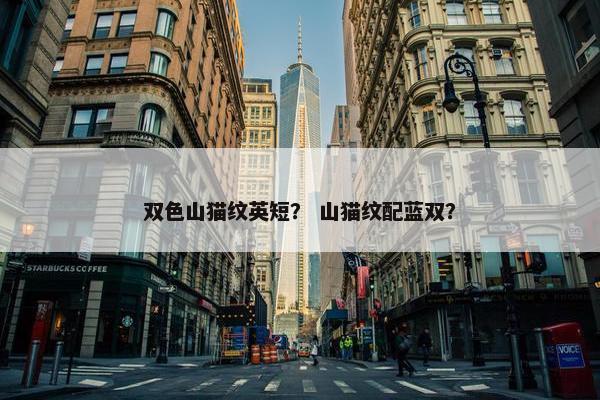 双色山猫纹英短？ 山猫纹配蓝双？