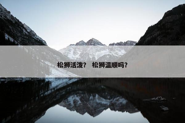 松狮活泼？ 松狮温顺吗？