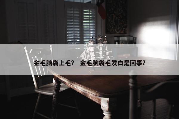 金毛脑袋上毛？ 金毛脑袋毛发白是回事？