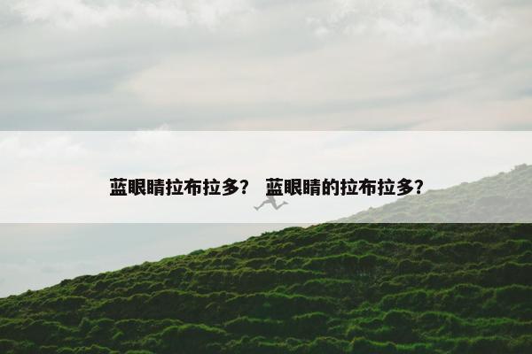 蓝眼睛拉布拉多？ 蓝眼睛的拉布拉多？
