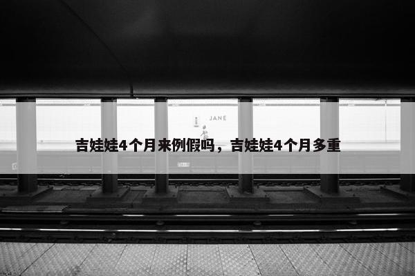 吉娃娃4个月来例假吗，吉娃娃4个月多重