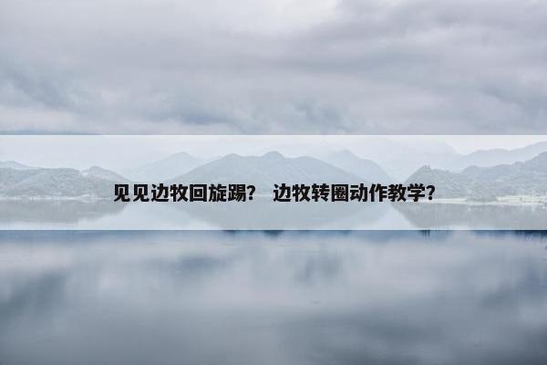 见见边牧回旋踢？ 边牧转圈动作教学？