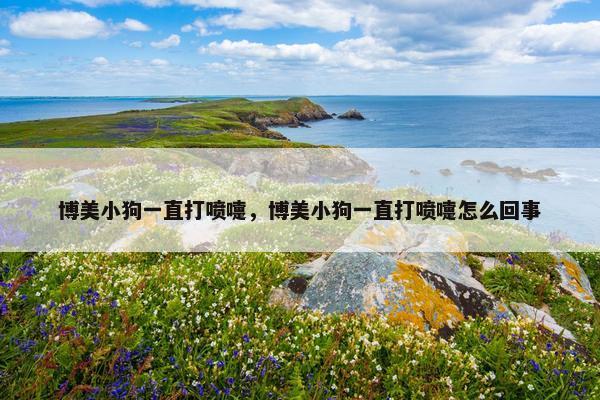 博美小狗一直打喷嚏，博美小狗一直打喷嚏怎么回事