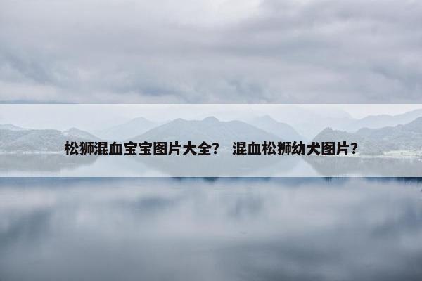 松狮混血宝宝图片大全？ 混血松狮幼犬图片？