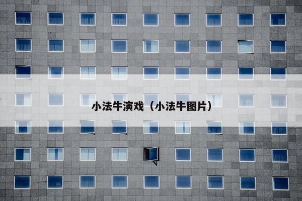 小法牛演戏（小法牛图片）