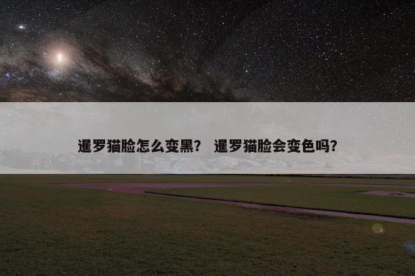 暹罗猫脸怎么变黑？ 暹罗猫脸会变色吗？