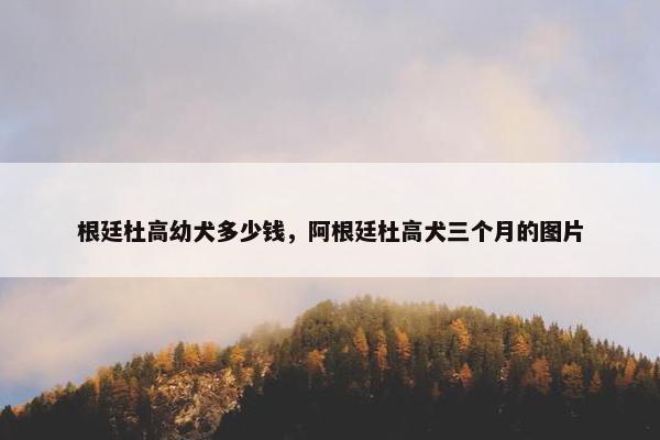 根廷杜高幼犬多少钱，阿根廷杜高犬三个月的图片