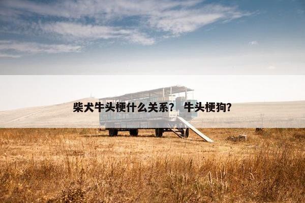 柴犬牛头梗什么关系？ 牛头梗狗？