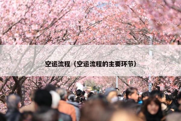空运流程（空运流程的主要环节）