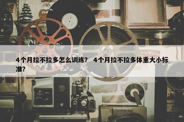 4个月拉不拉多怎么训练？ 4个月拉不拉多体重大小标准？