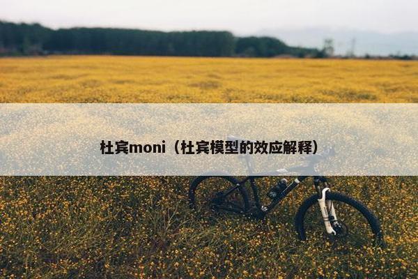 杜宾moni（杜宾模型的效应解释）