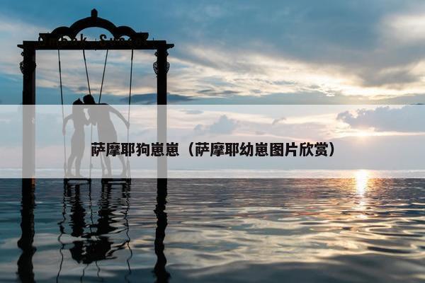 萨摩耶狗崽崽（萨摩耶幼崽图片欣赏）