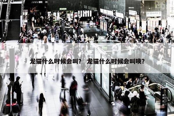 龙猫什么时候会叫？ 龙猫什么时候会叫唤？