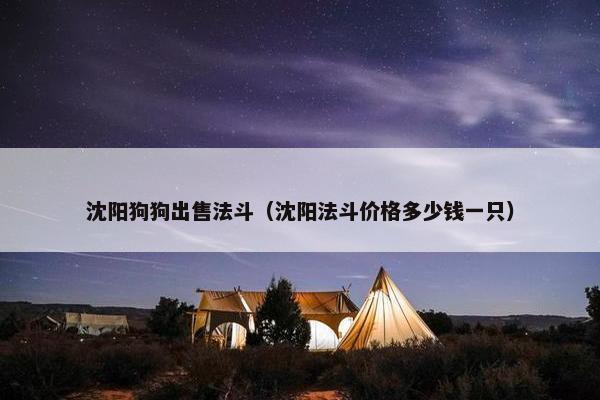沈阳狗狗出售法斗（沈阳法斗价格多少钱一只）