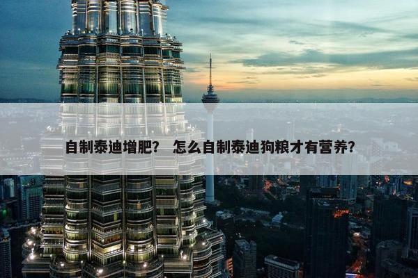 自制泰迪增肥？ 怎么自制泰迪狗粮才有营养？