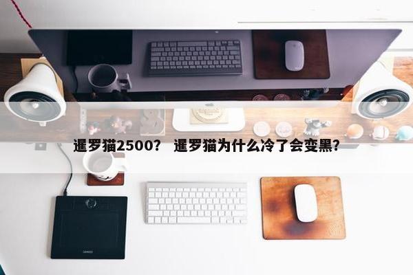 暹罗猫2500？ 暹罗猫为什么冷了会变黑？