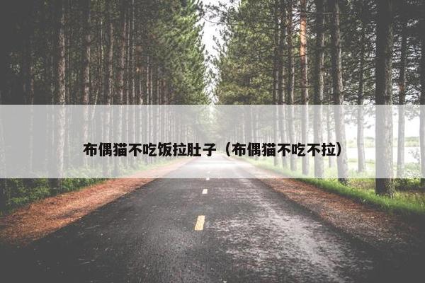 布偶猫不吃饭拉肚子（布偶猫不吃不拉）